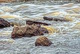 Rocks In The River_DSCF03104